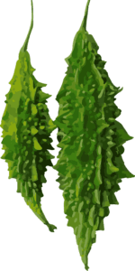 Alamat ng Ampalaya