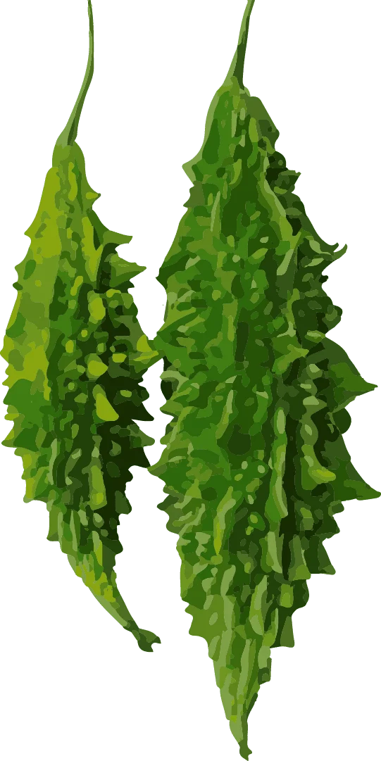 Alamat ng Ampalaya