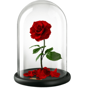 Alamat Ng Rosas