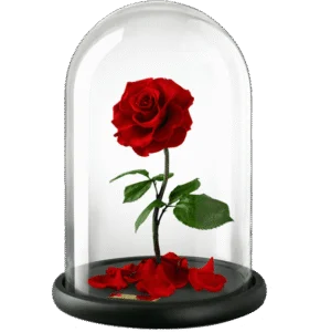 Alamat Ng Rosas