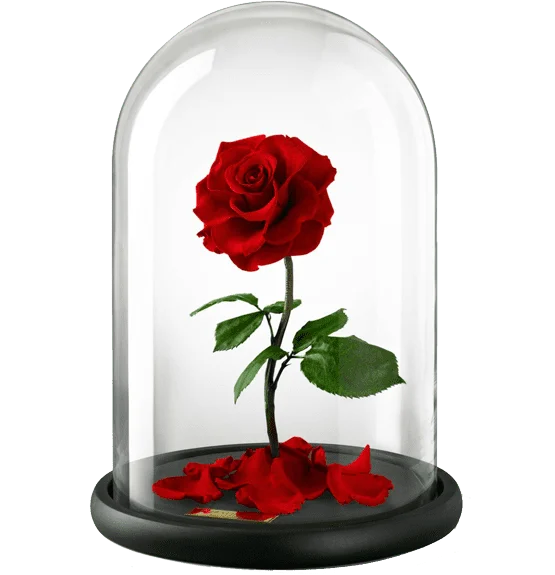 Alamat Ng Rosas