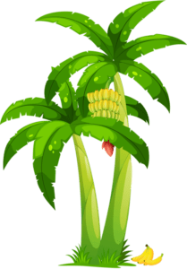 Alamat Ng Saging