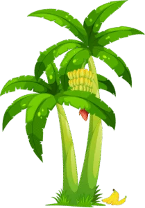 Alamat ng Saging