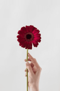 Alamat Ng Bulaklak